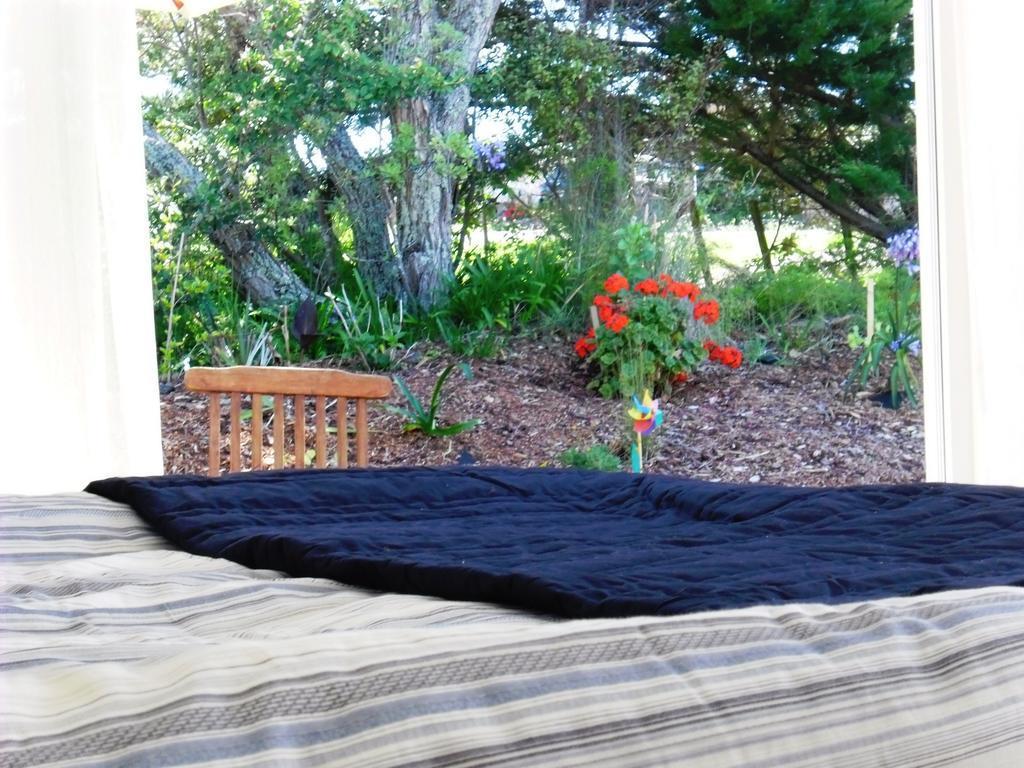 Blue Birds Hotell Oneroa Rom bilde
